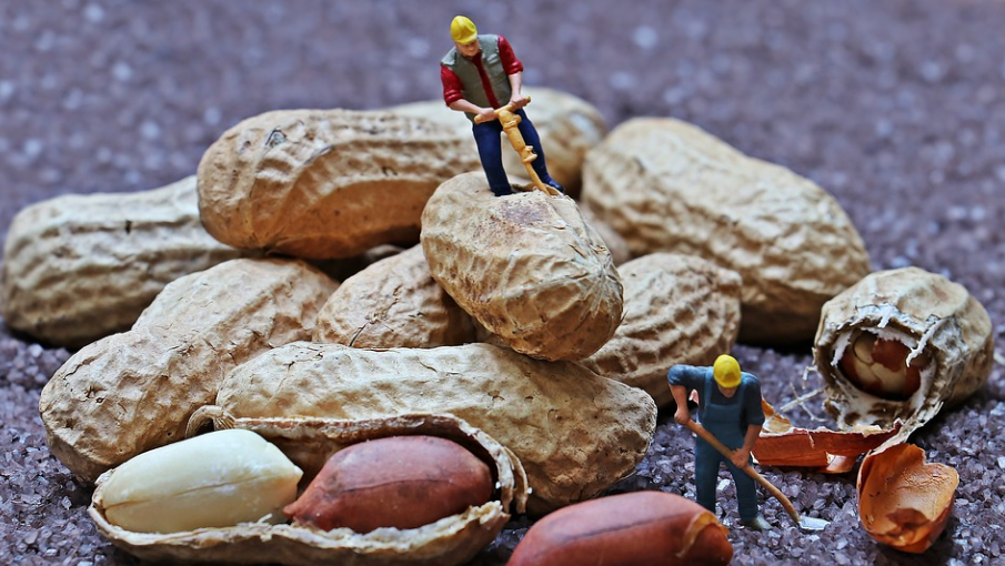 workers
